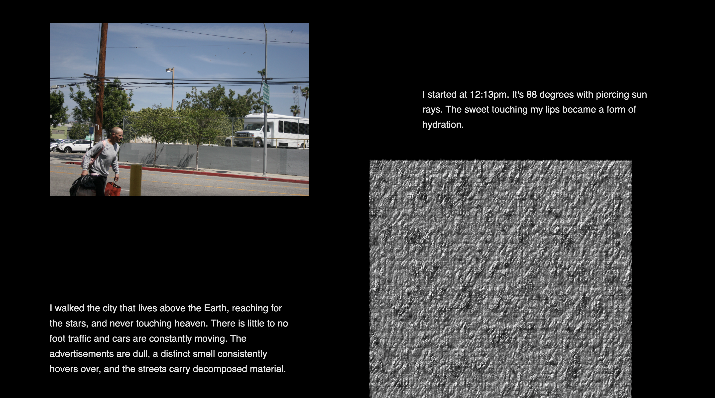 Entangle: Networks of Becoming — screenshot